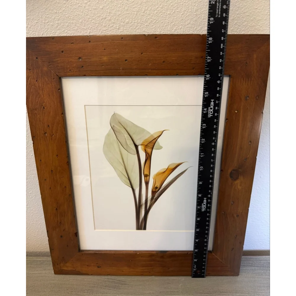 Framed Calla Lily art print approx. 15x18”